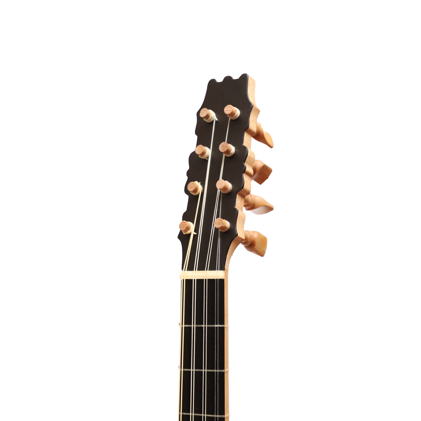 Muzikkon Renaissance guitar, 4 Course Variegated Maple Ebony