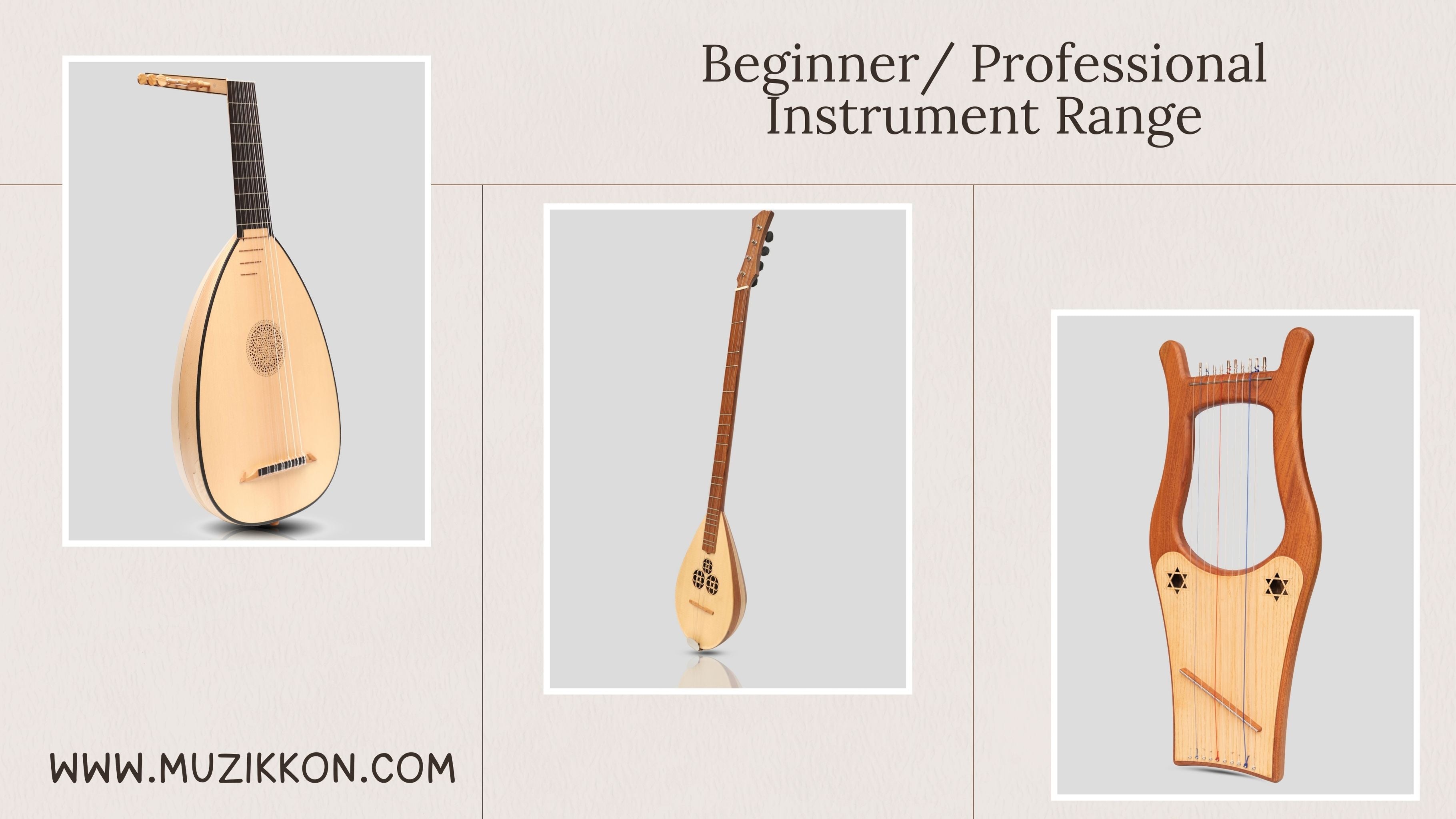How to Choose the Right String Instrument for Your Skill Level – Muzikkon