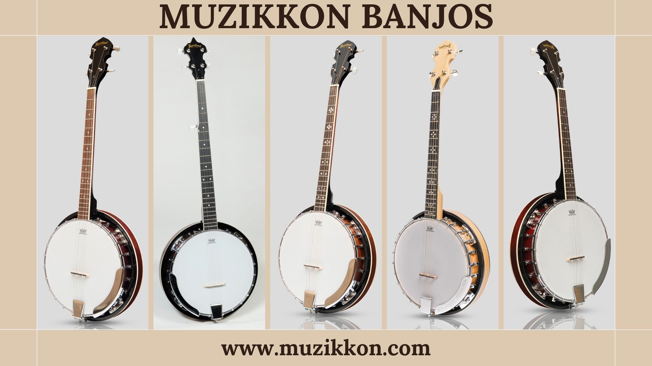 8 types de banjos et leurs sons uniques – Muzikkon