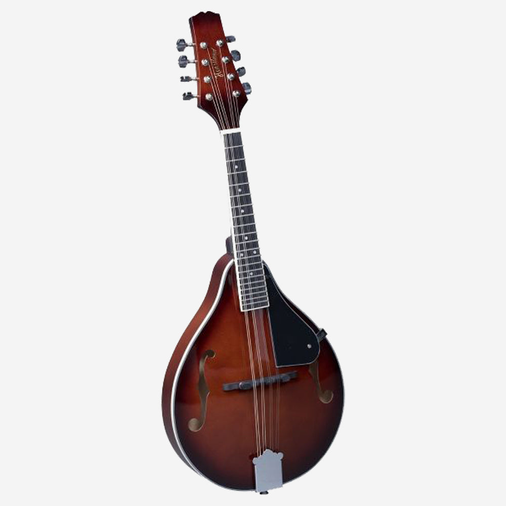Mandiola Instrumento Strings Musical Instruments for Sale - Muzikkon