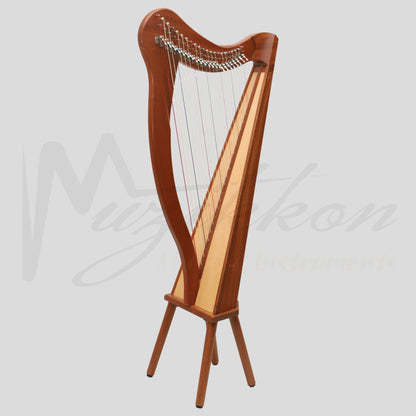 22 String Ard Ri Harp Celtic Harp Harp