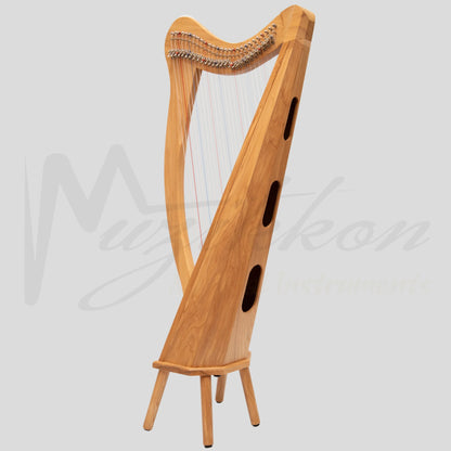 27 String Ard Ri Harp