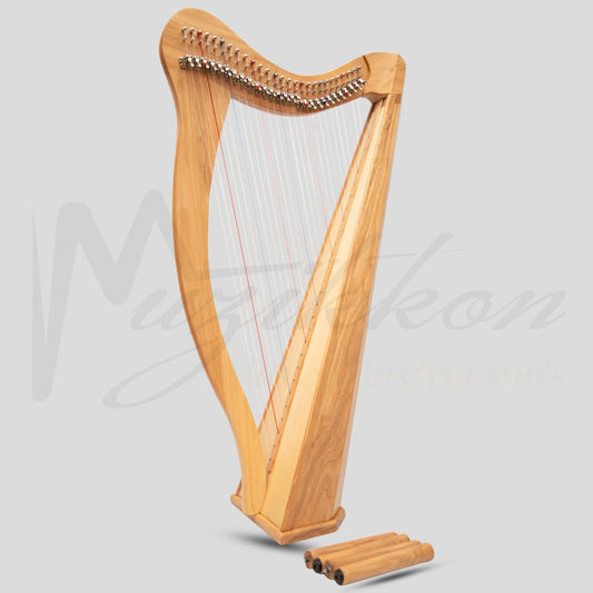 27 String Ard Ri Harp