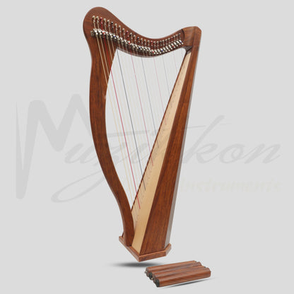 27 String Ard Ri Harp