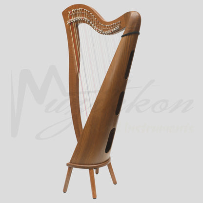 27 String McHugh Harp Round Back