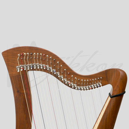 27 String McHugh Harp Round Back