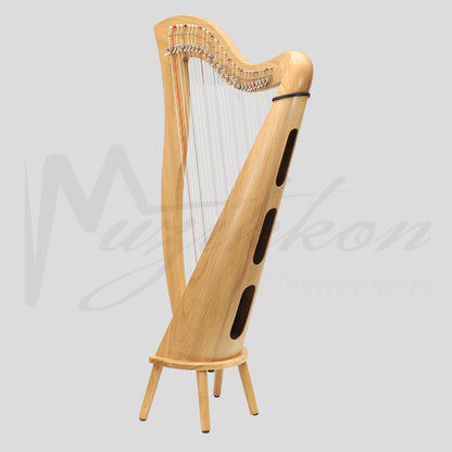27 String McHugh Harp Round Back