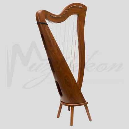 27 String McHugh Harp Round Back