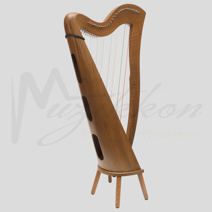 27 String McHugh Harp Round Back