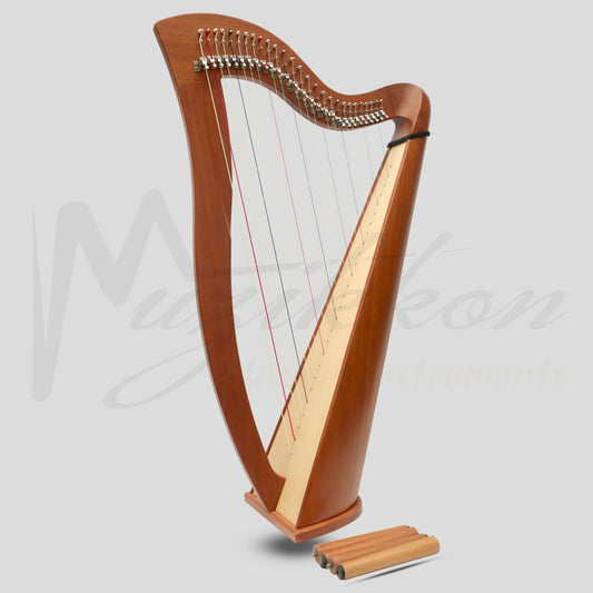 27 String McHugh Harp Round Back