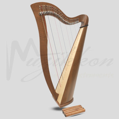 27 String McHugh Harp Round Back