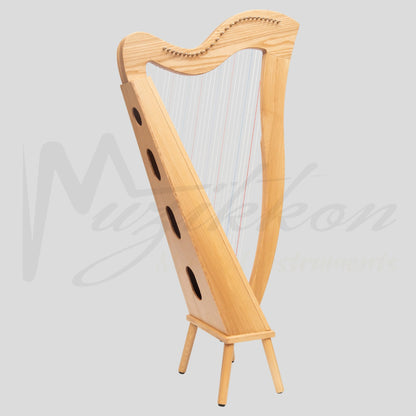 27 String Mchugh Harp Square Back