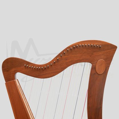 27 String Mchugh Harp Square Back