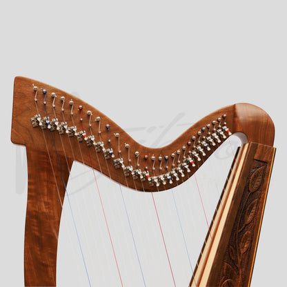 27 String Trinity Harp