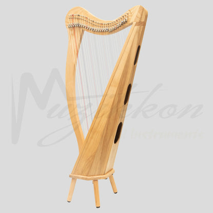 29 String Ard Ri Harp