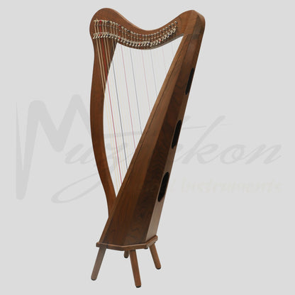 29 String Ard Ri Harp