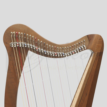 29 String Ard Ri Harp
