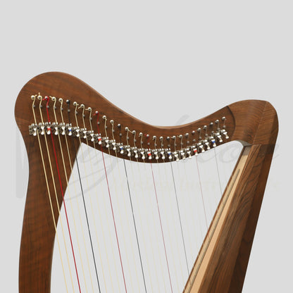 29 String Ard Ri Harp