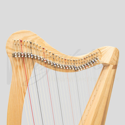 29 String Ard Ri Harp