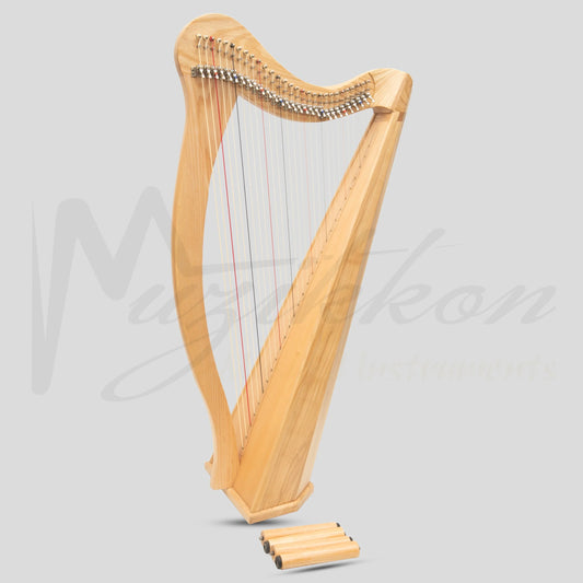 29 String Ard Ri Harp Ashwood