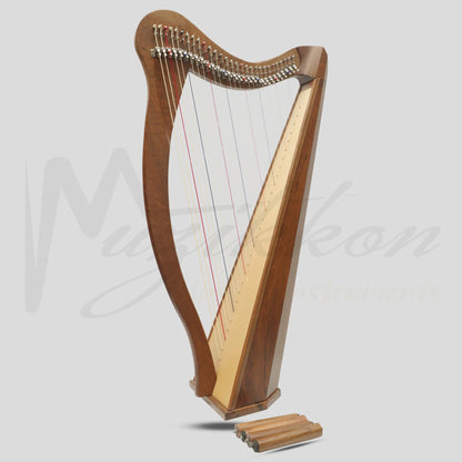 29 String Ard Ri Harp Walnut
