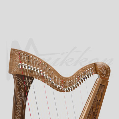29 String Boru Harp