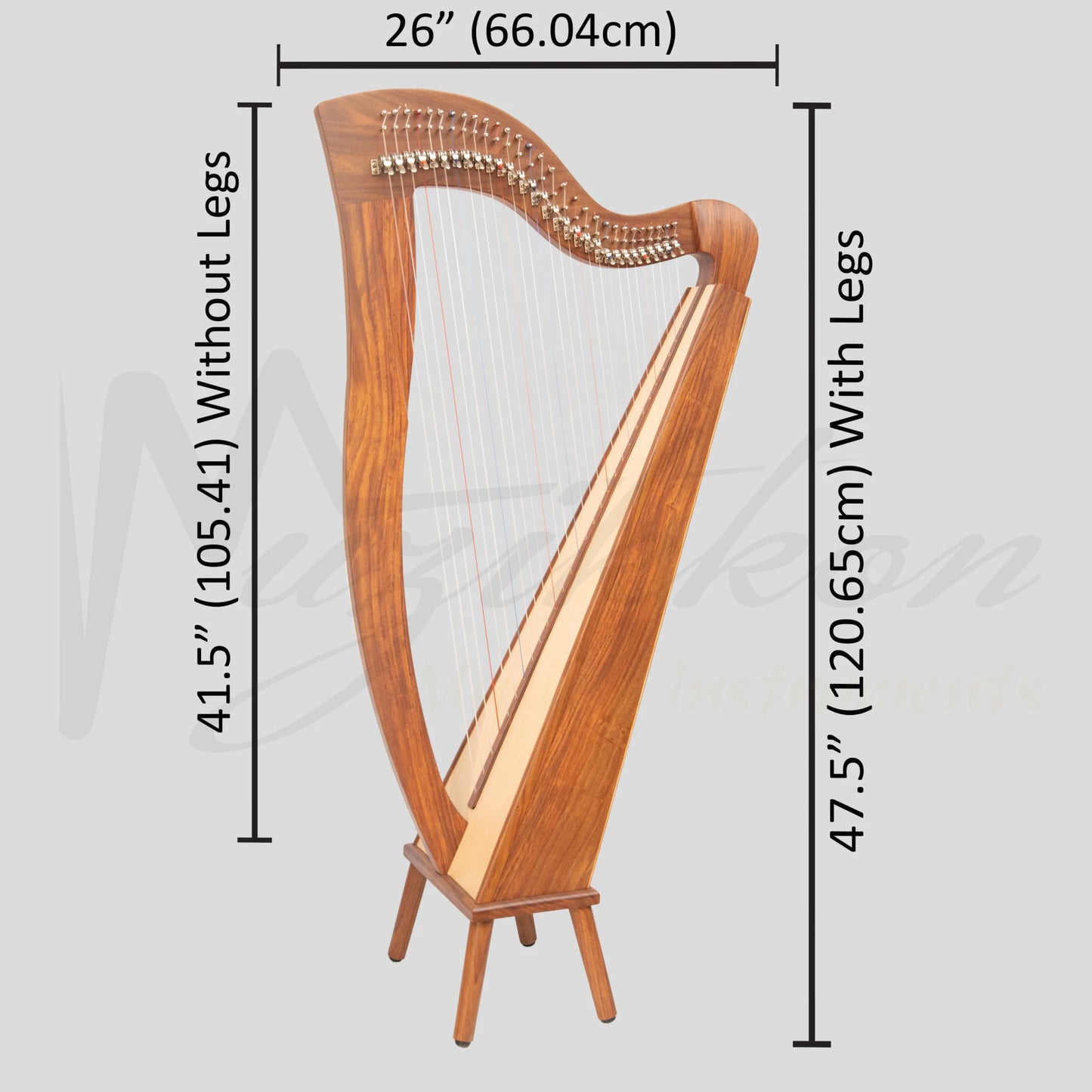 29 String McHugh Harp Square Back