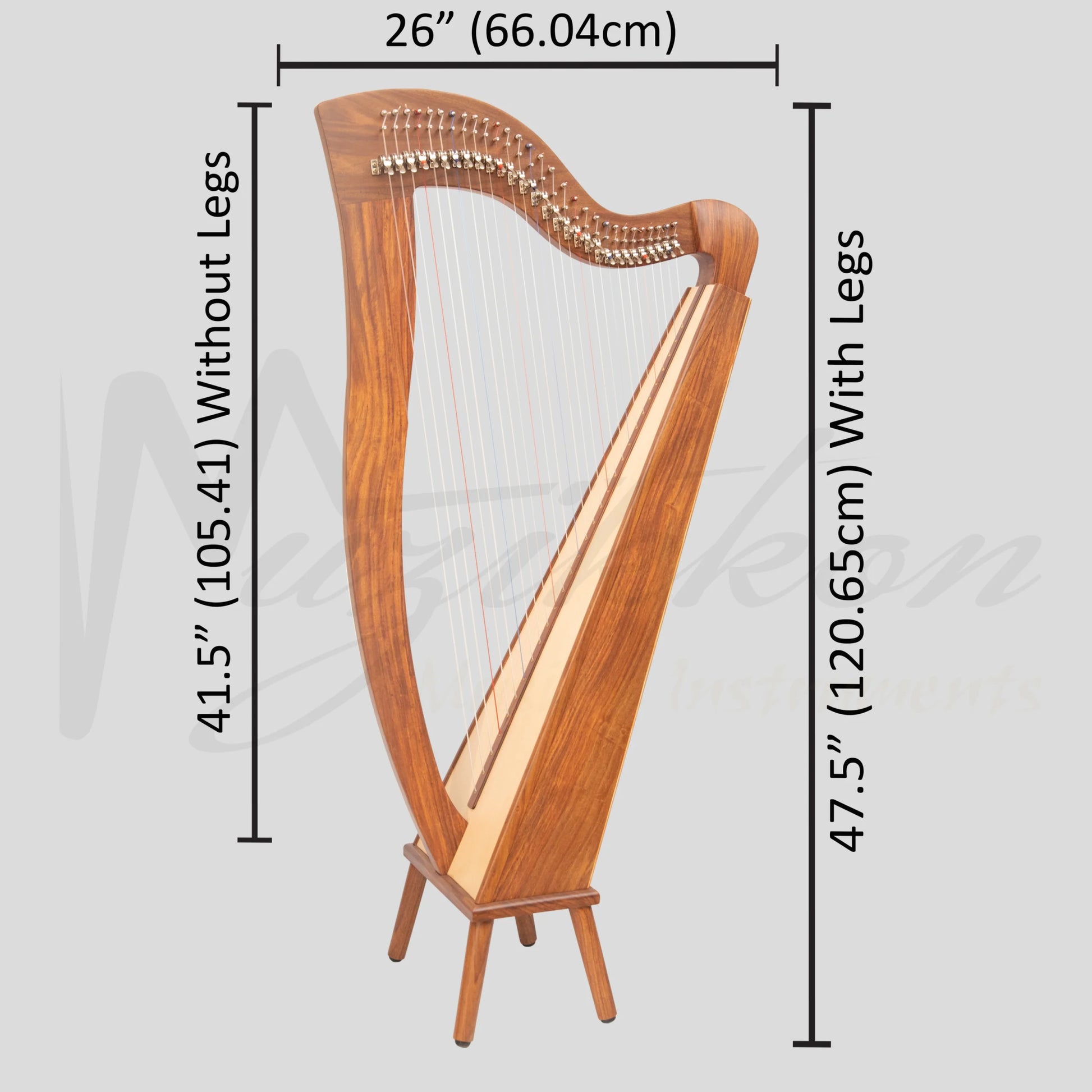 29 String McHugh Harp Square Back