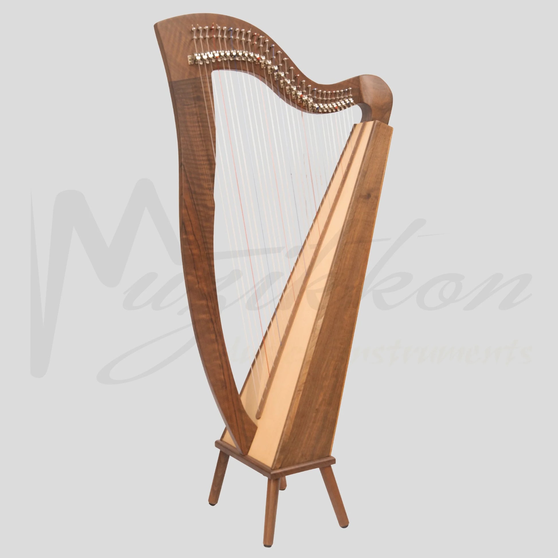 29 String McHugh Harp Square Back