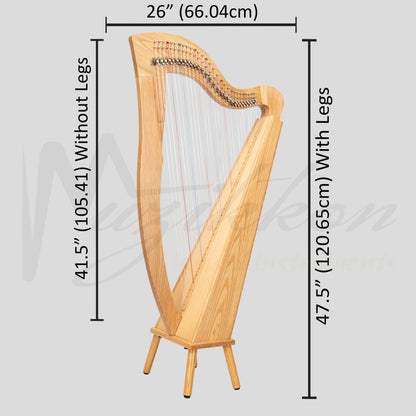 29 String McHugh Harp Square Back