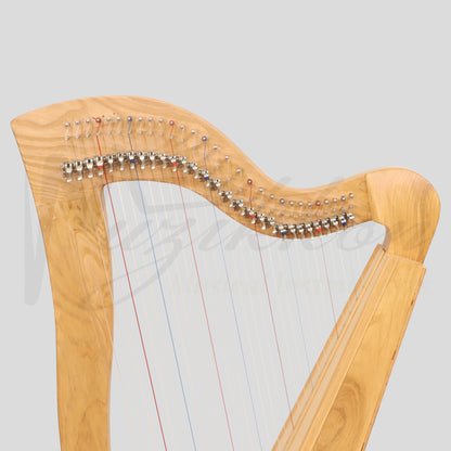 29 String McHugh Harp Square Back