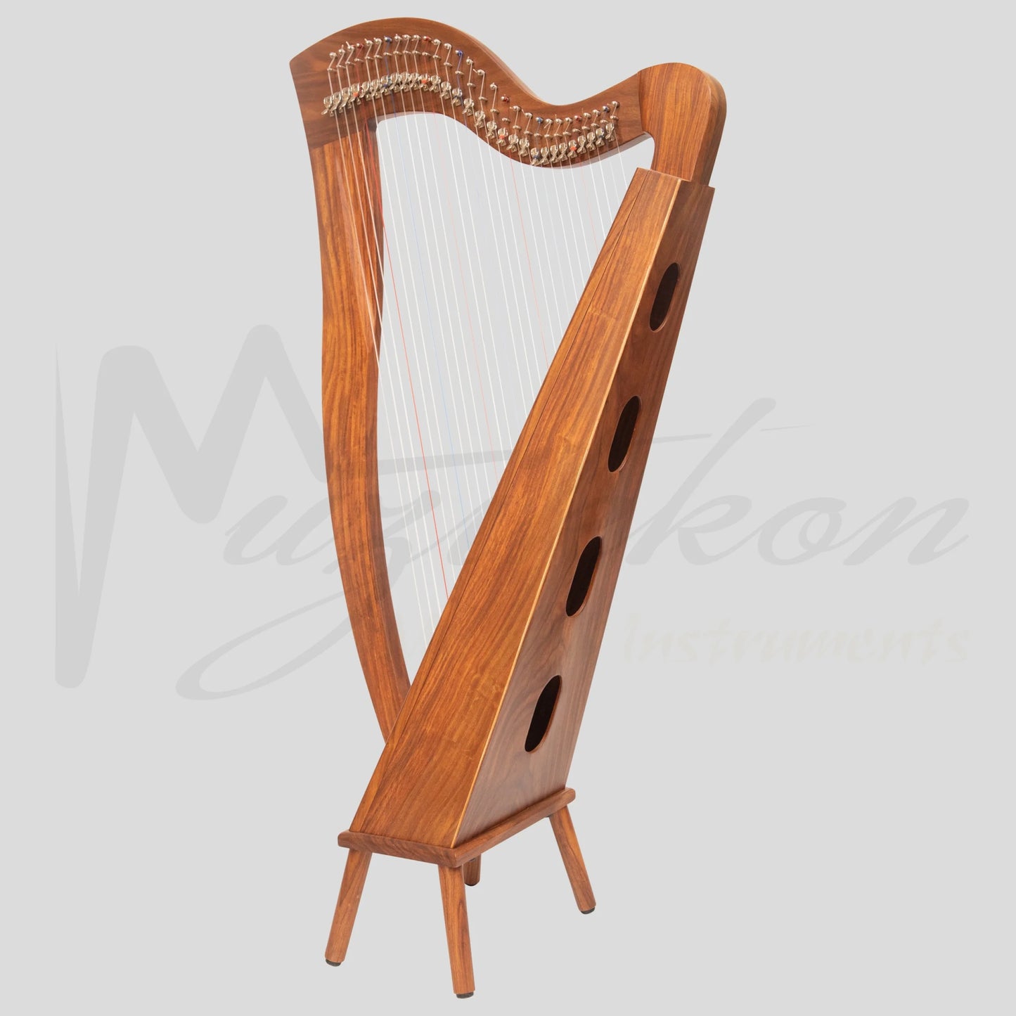 29 String McHugh Harp Square Back
