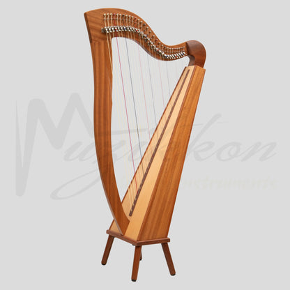 29 String McHugh Harp Square Back