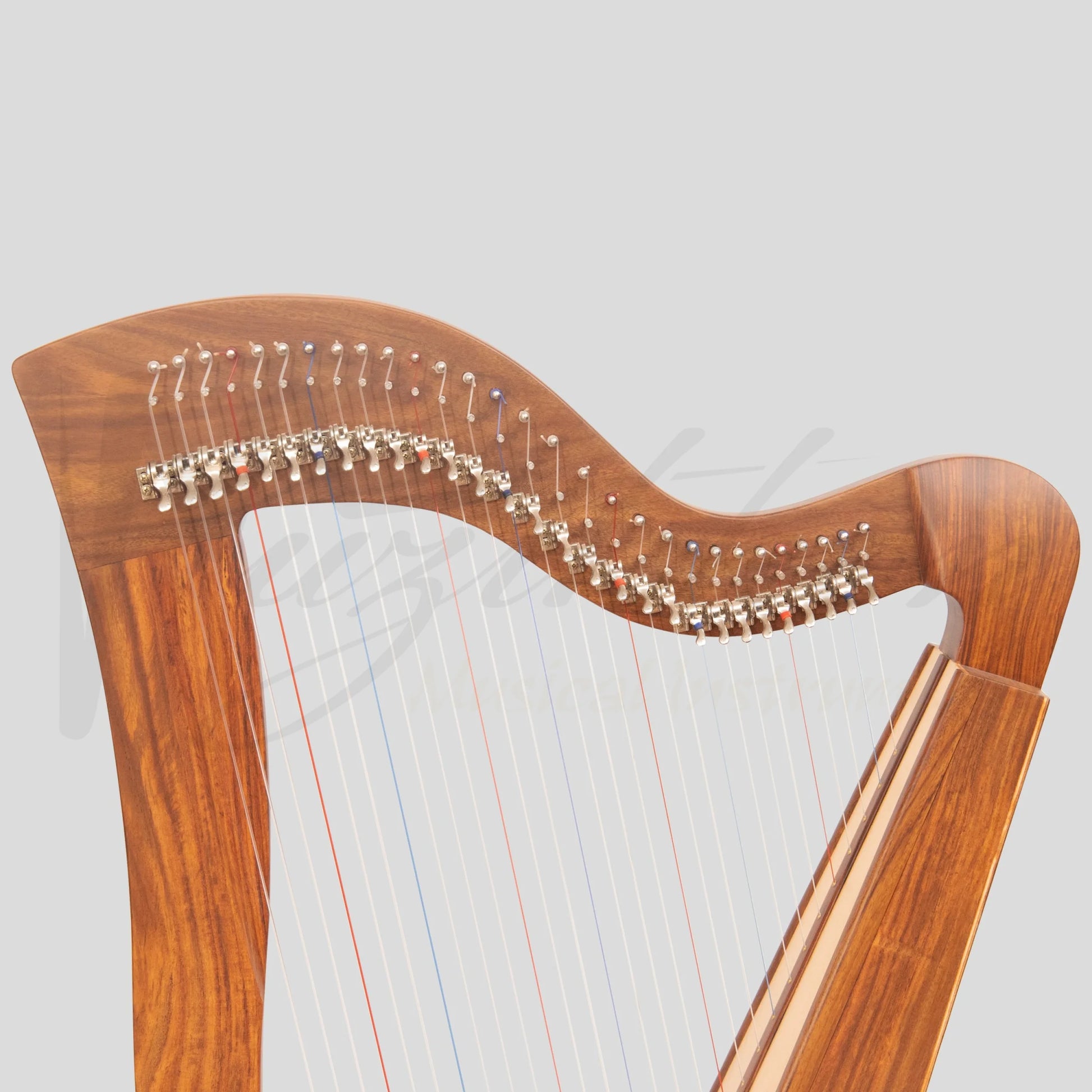 29 String McHugh Harp Square Back