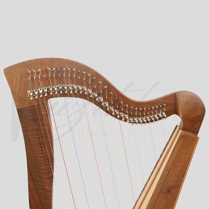 29 String McHugh Harp Square Back