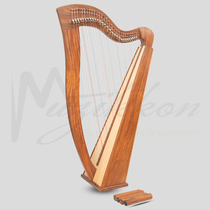 29 String McHugh Harp Square Back Rosewood