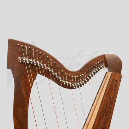 29 String Trinity Harp