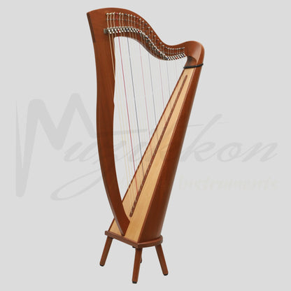 29 Strings McHugh Harp Round Back