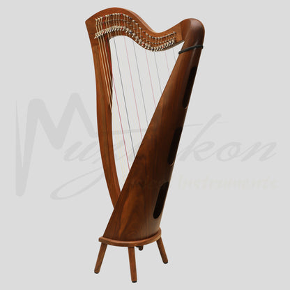 29 Strings McHugh Harp Round Back