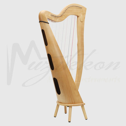 29 Strings McHugh Harp Round Back