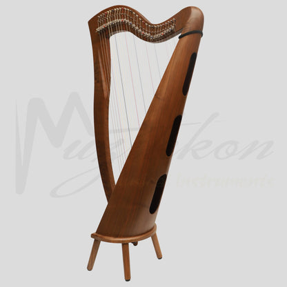 29 Strings McHugh Harp Round Back