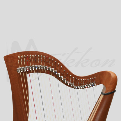 29 Strings McHugh Harp Round Back