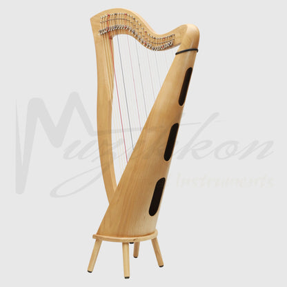 29 Strings McHugh Harp Round Back