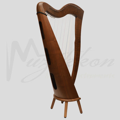 29 Strings McHugh Harp Round Back