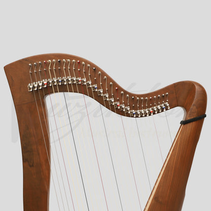 29 Strings McHugh Harp Round Back