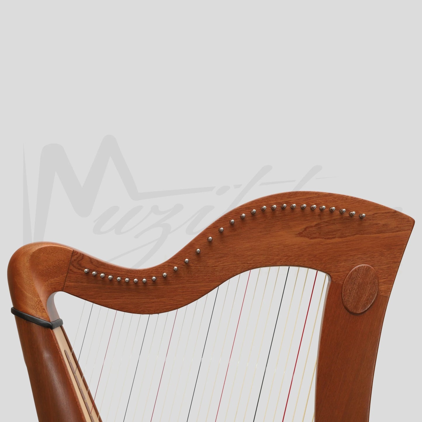 29 Strings McHugh Harp Round Back