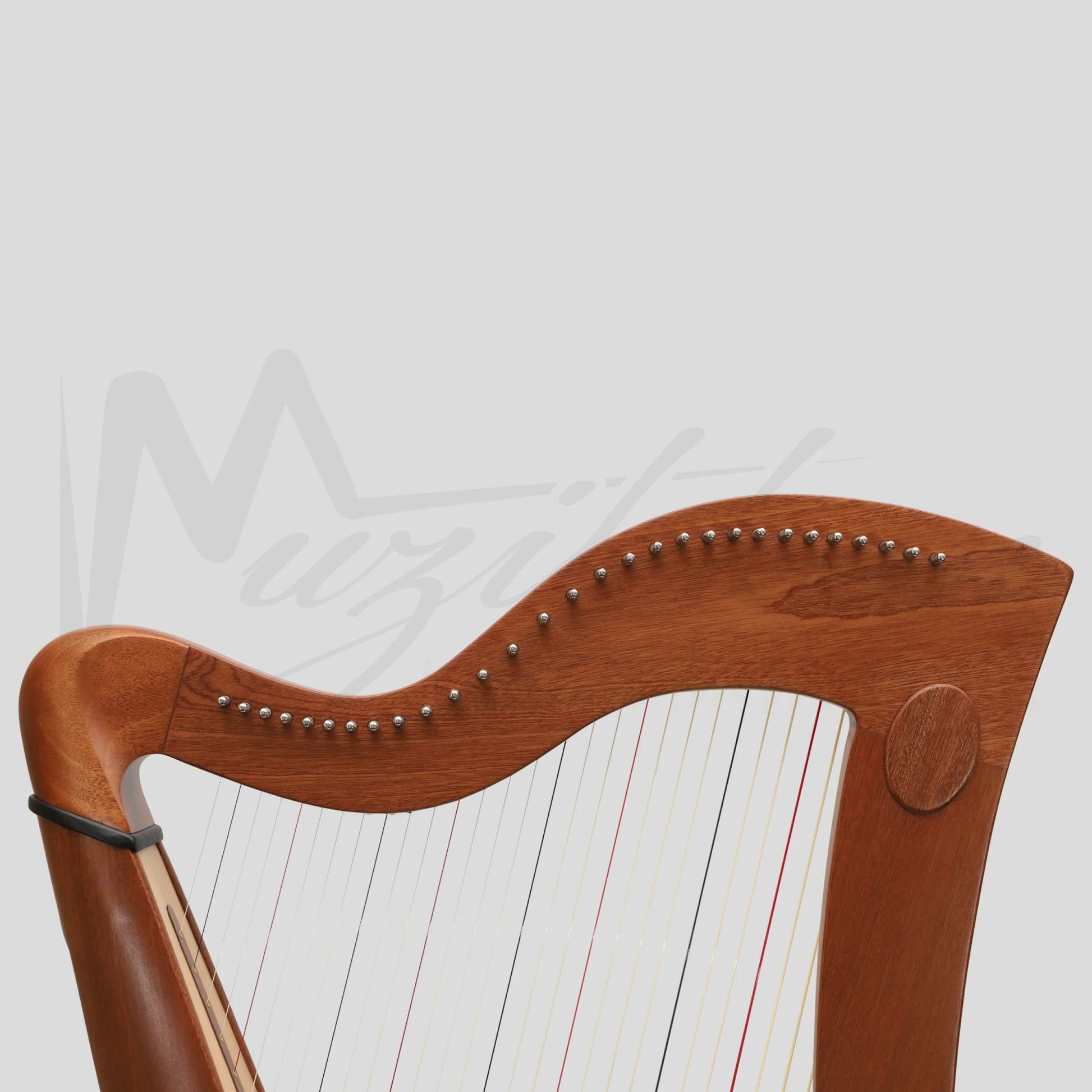 29 Strings McHugh Harp Round Back