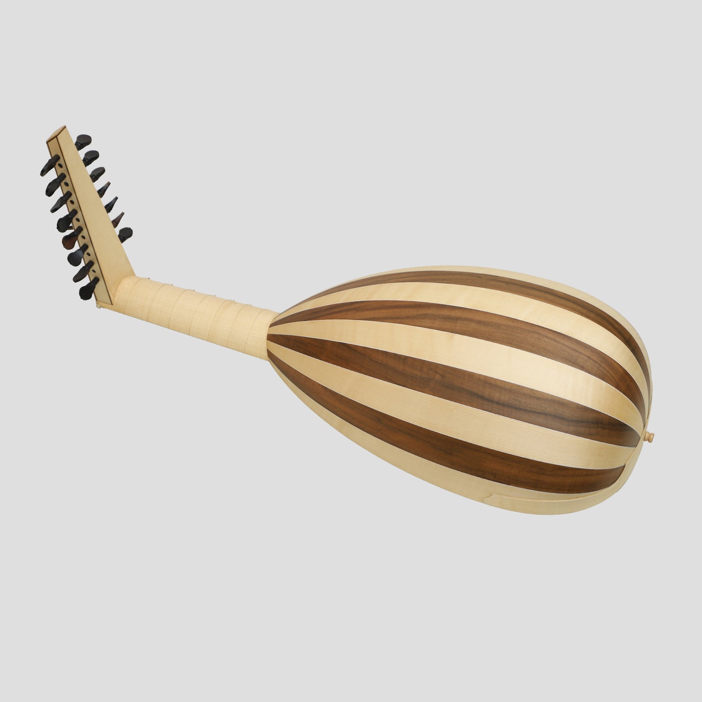 Muzikkon Renaissance Lute 8 Course Deluxe Main Gauche Après Hieber