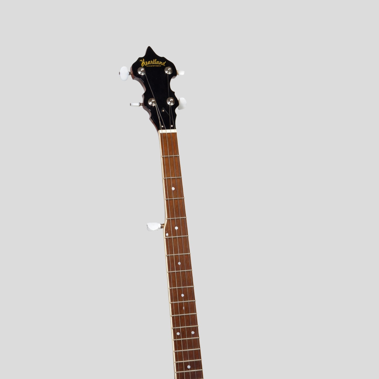 Banjo irlandais Heartland 5 cordes 24 support avec dos solide fermé et accordeur 5e engrené