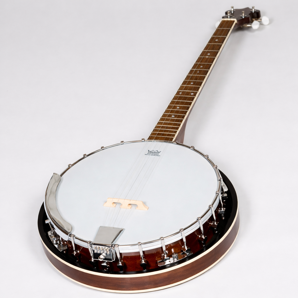 Banjo irlandais Heartland 5 cordes 24 support avec dos solide fermé et accordeur 5e engrené